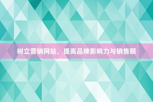 树立营销网站，提高品牌影响力与销售额